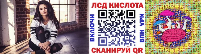 Купить закладки  Губкинский  Марки N-bome 1500мкг 